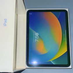 iPad 
