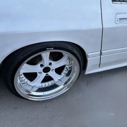 SSR VIENNA COURAGE Pair (2) 