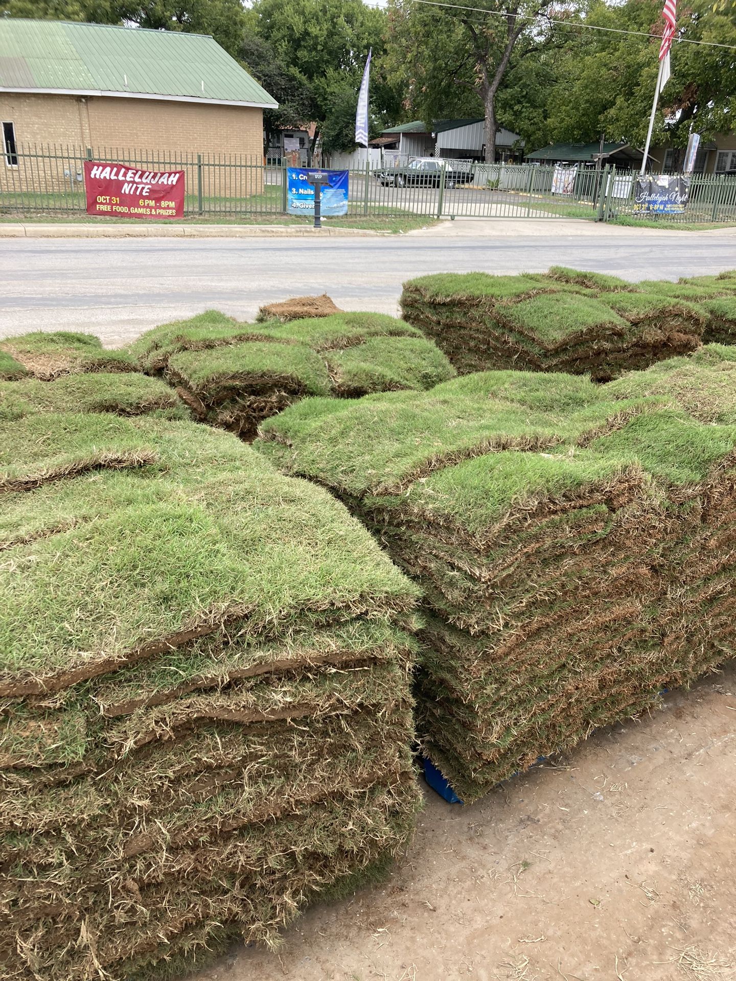 Grass, Rock, Mulch, Plants for Sale in San Antonio, TX OfferUp