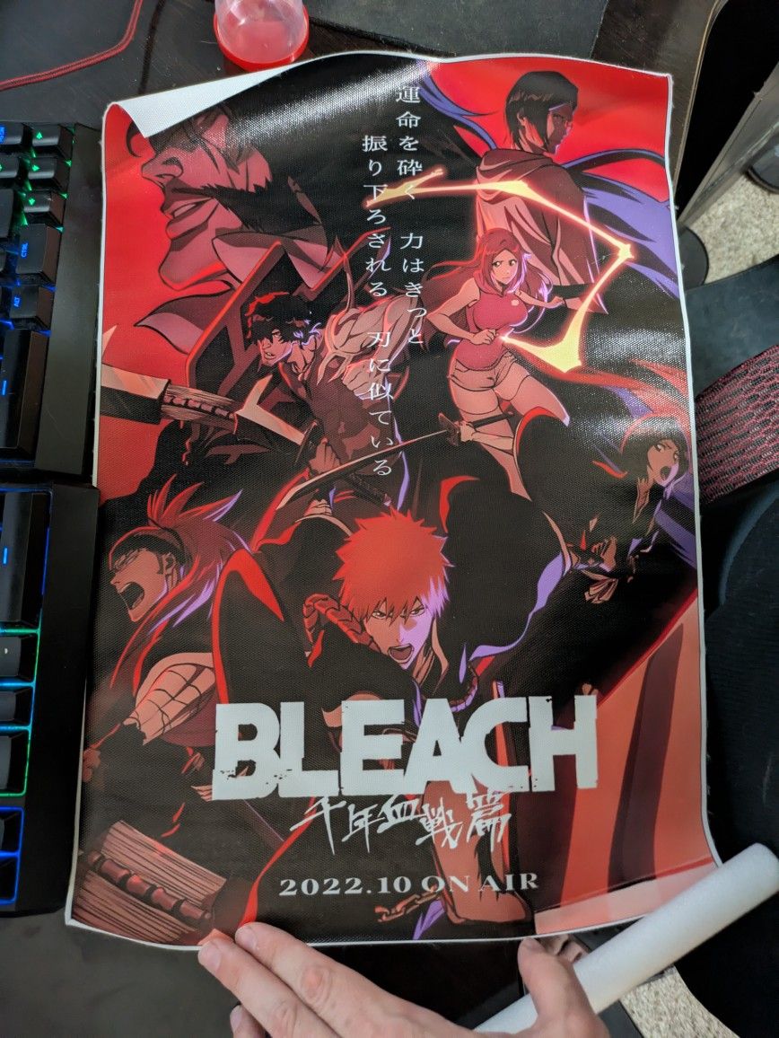 Bleach wall scroll