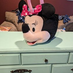 Minnie Mouse Carrier
