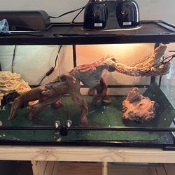 Huge reptil tank