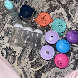 Bottles/Sippy Cups 