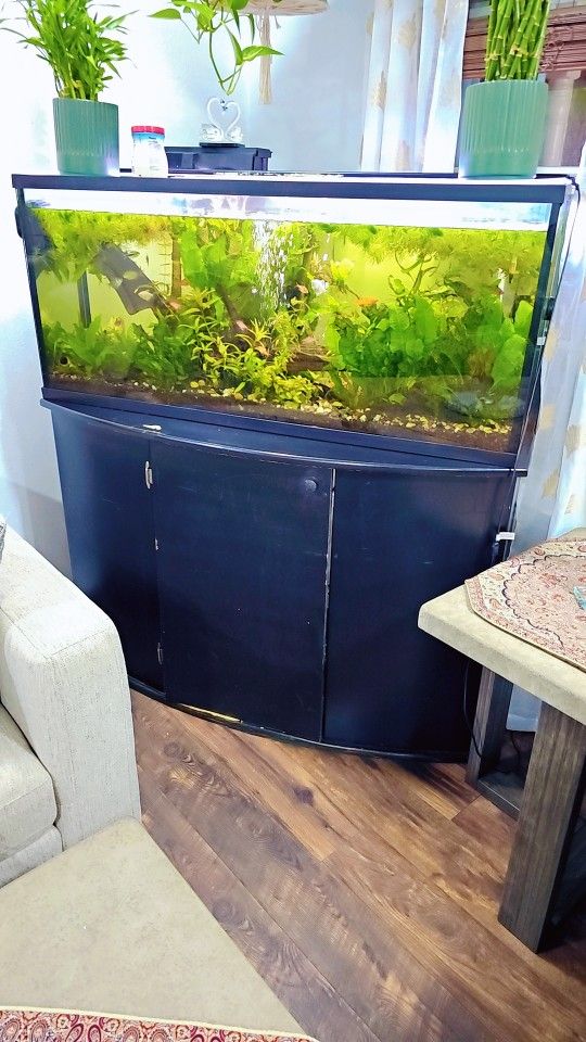 55 Gal Fish Tank Complete Set