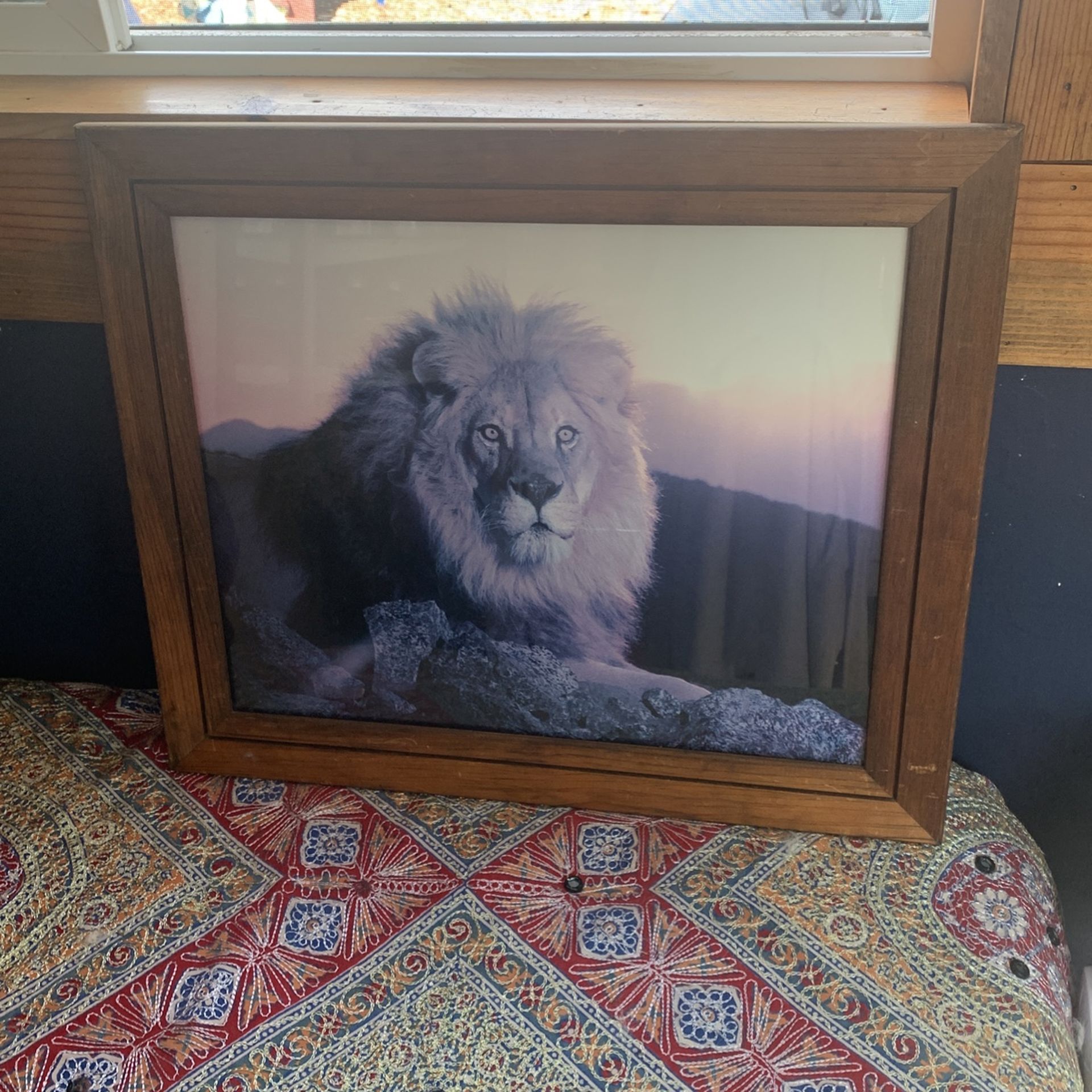Wood Framed Vintage Lion Photograph Wooden Frame Artwork Wall Art