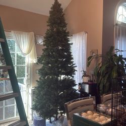 10 Foot Pre Lit Christmas Tree