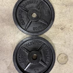 BFCO Weight  - Two-45lb Plates