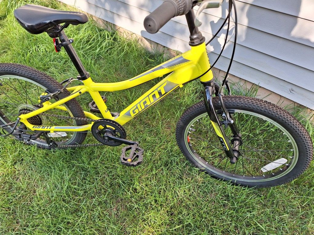 Giant XTC Jr. Kids Mountain Bike 