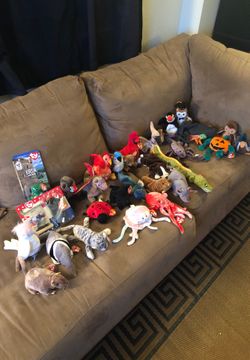 TY Beanie baby’s