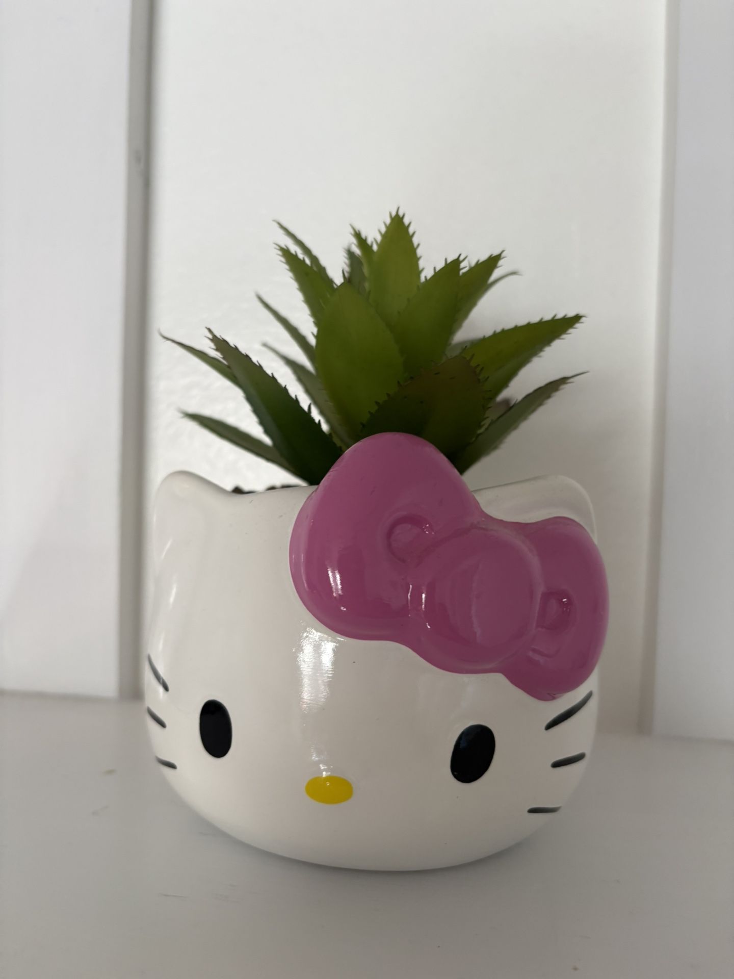 Hello Kitty Plant