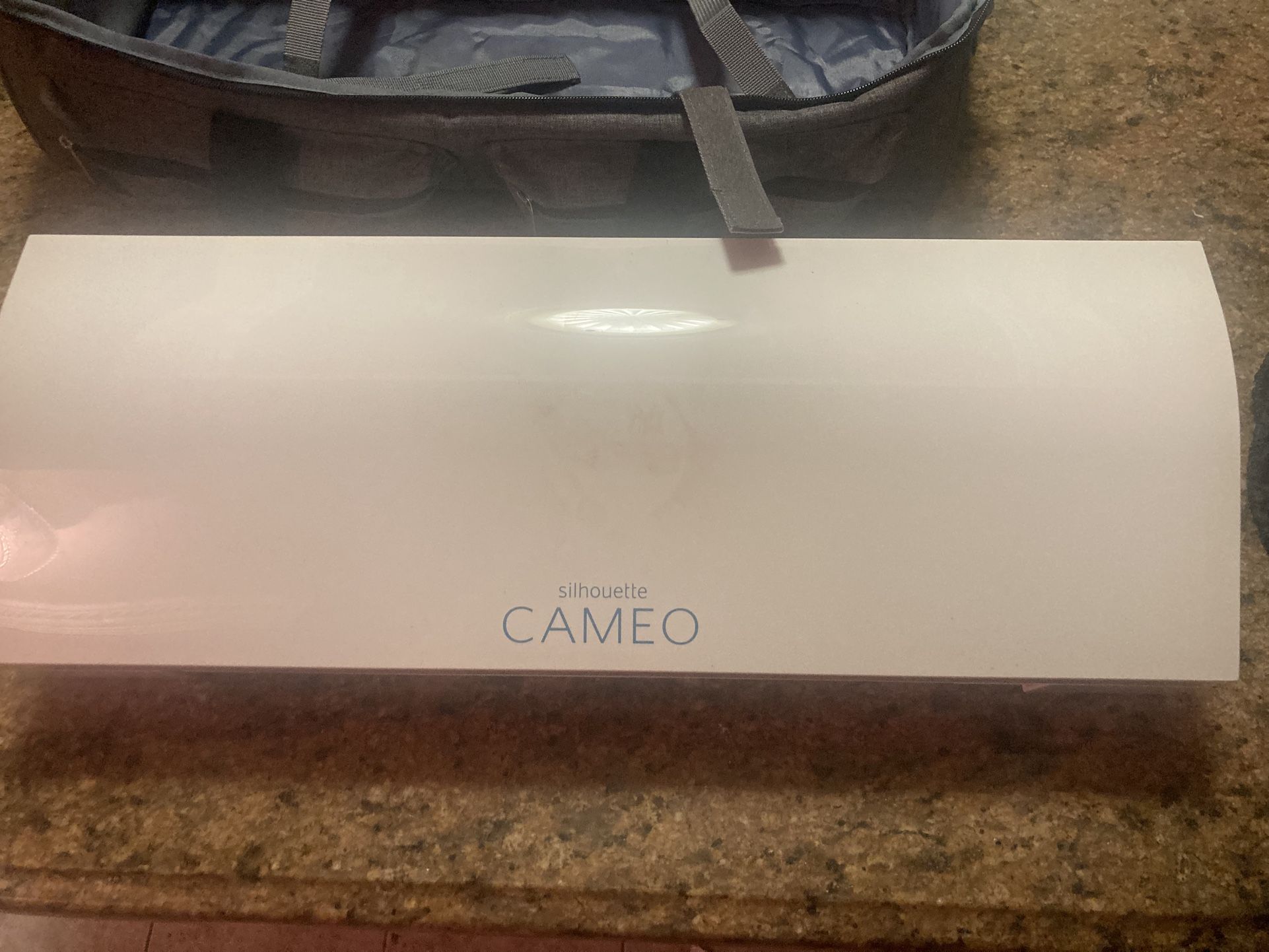 Cameo Silhouette With Bag