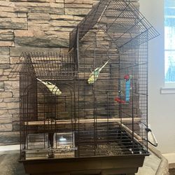 A Bird Cage With Two Birds 