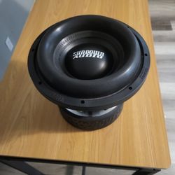 10 Inch Subwoofer 