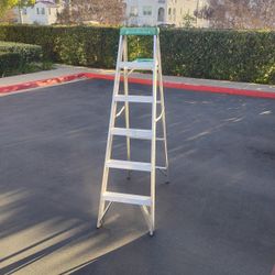 Louisville 6' Ladder 