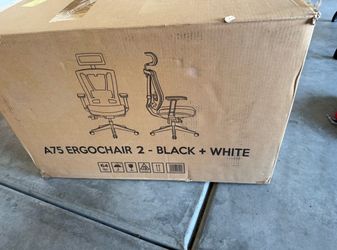 A75 Ergochair 2