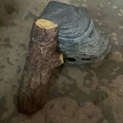 Rock For Reptile