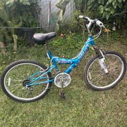 24 Inch Pacific Evolution Bike 