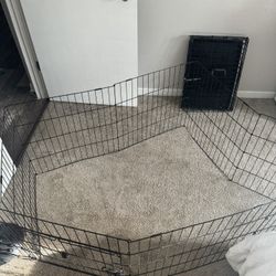 Dog Crate Area NEED GONE IMMEDIATELY 