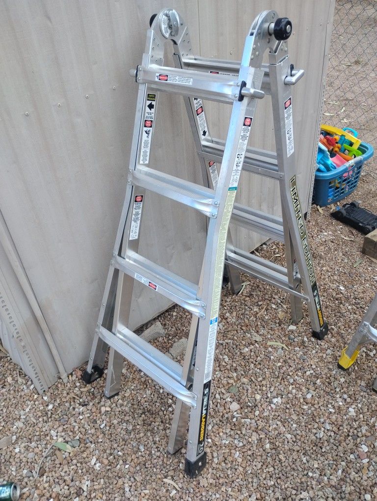 Gorilla Ladder