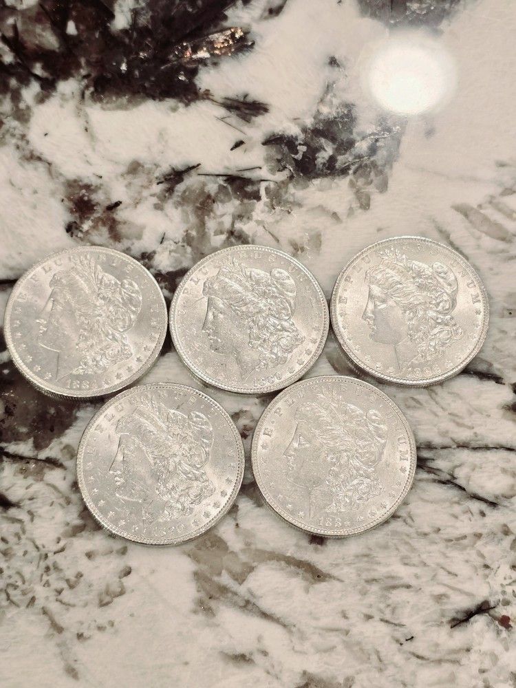 BU Morgan Silver Dollar Lot