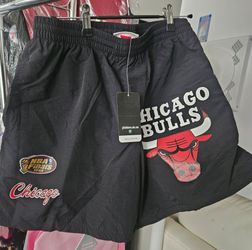 Chicago Bulls 1996 Finals Mitchell and Ness Shorts Size L.