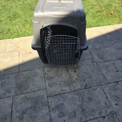 Dog Carrier 