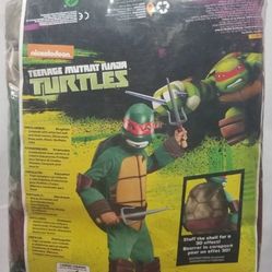 12/14 Raphael Costume 