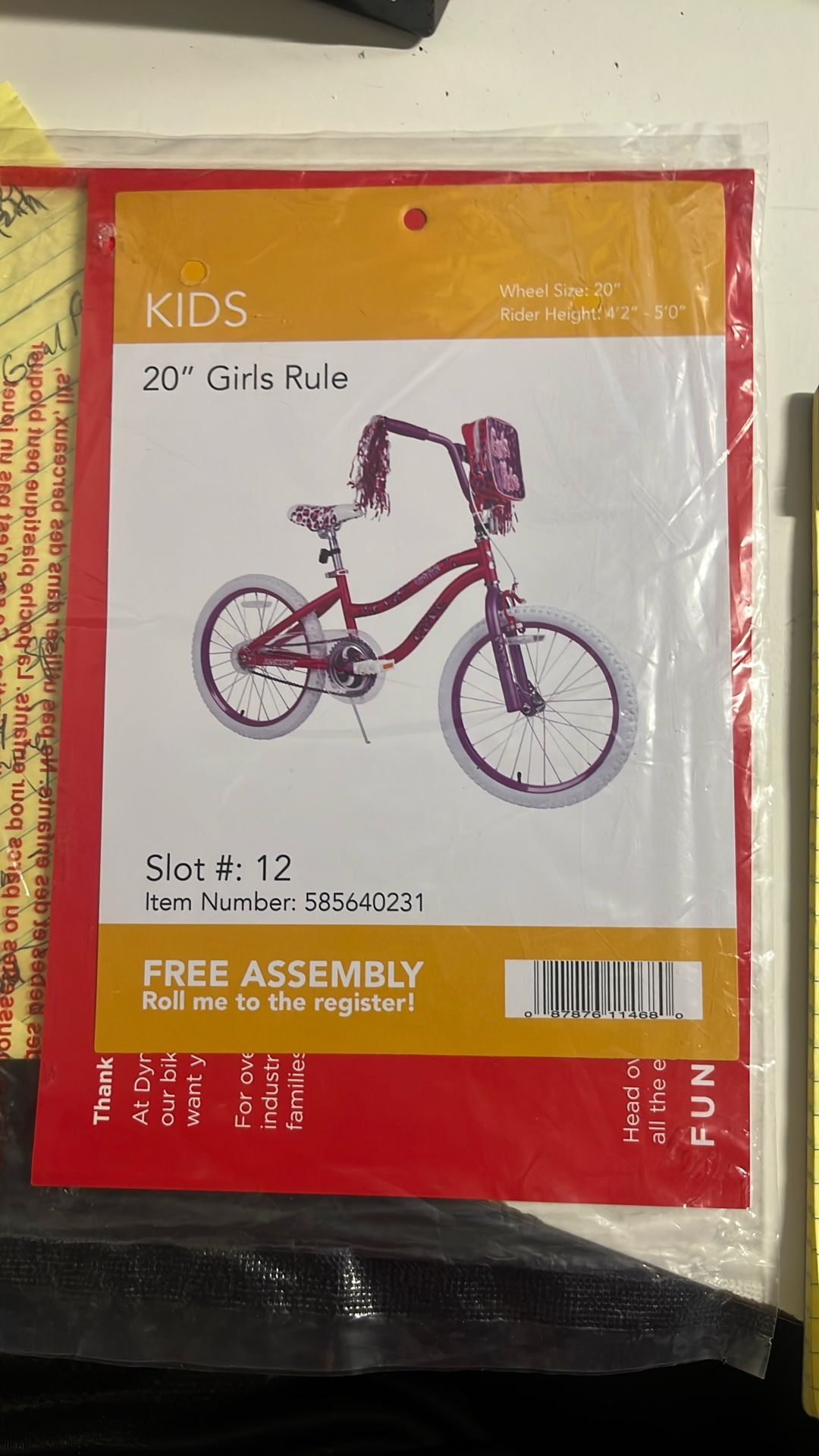 20” Girls Bike