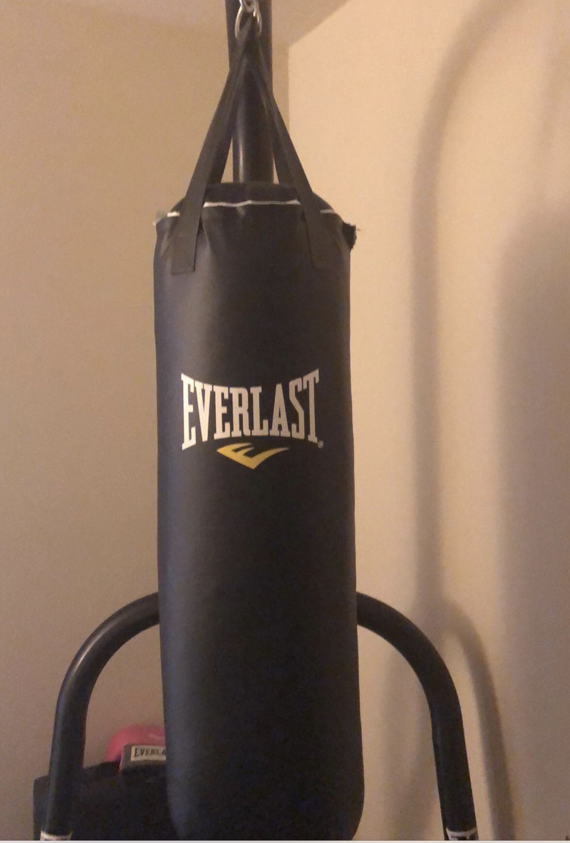 Everlast heavy bag and stand.