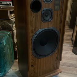 Magnavox Speakers