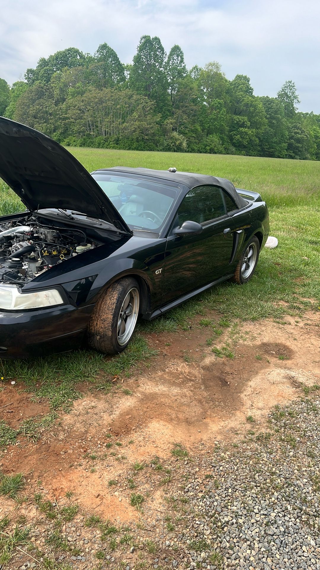 2003 Ford Mustang