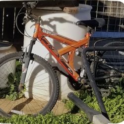 Gauntlet brand mountain bike