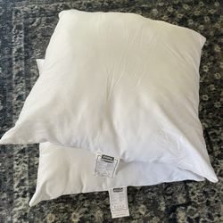 Set Of Two New 22x22 Pillows
