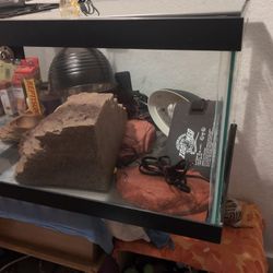 Pet Supplies
