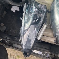 Head Light 