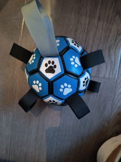 Dog Ball 