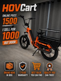 HQ direct wholesale price on family electric bike - grey and orange cargo ebike available