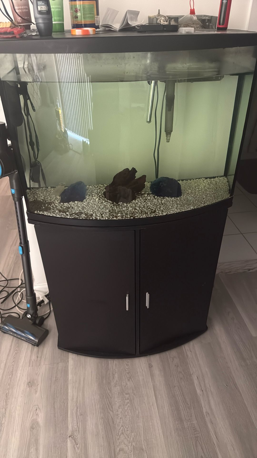 45 Gallon Bowfront Fish Tank