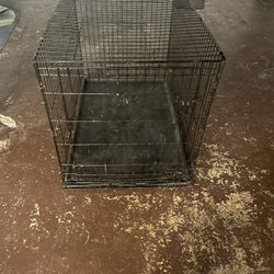 Large Breed Kennel 