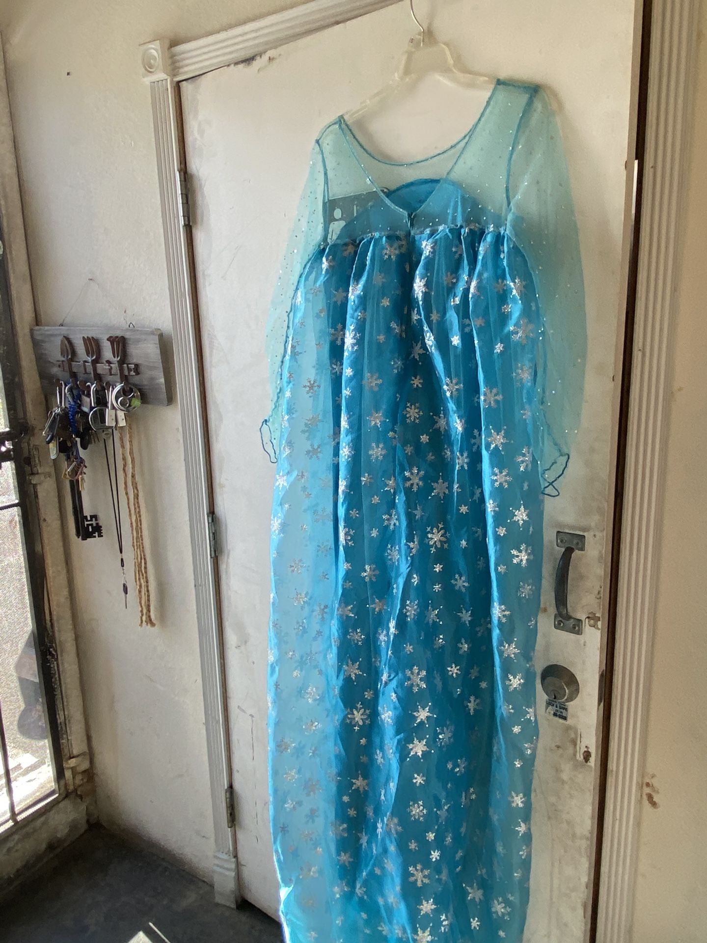 Adult Frozen dress