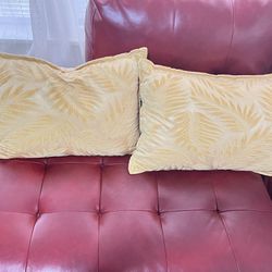 Decorative Set of 2  Pillow Yellow color 17 x 21
