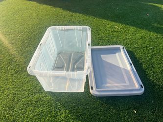 Large Clear Plastic Storage Tote with Lid