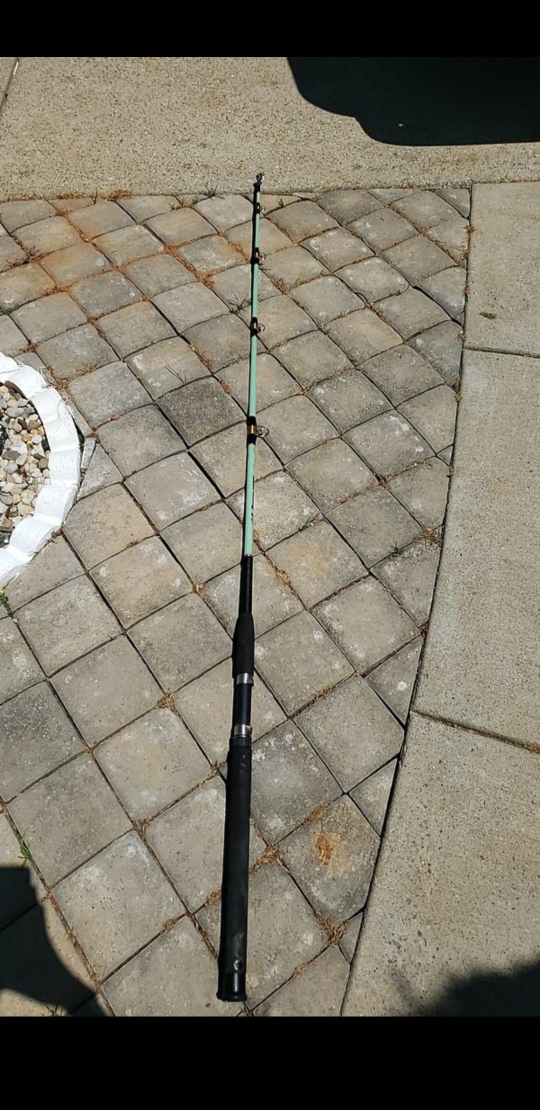 Master blackfin fishing rod