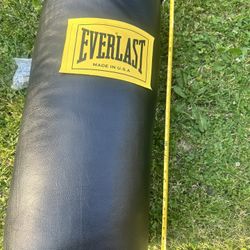Everlast Punching Bag