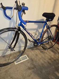 Easton racing road bike