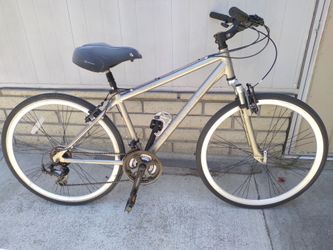 Schwinn trailway