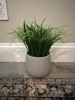 Decorative Artificial Plant