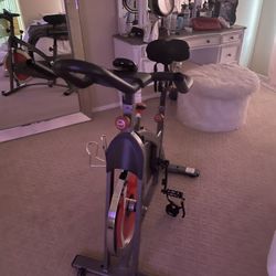 Sunny Fitness Bike