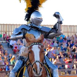 Renaissance Festival Tickets 
