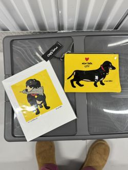 Dacshund Art And Zipper Case